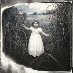 Division Cover