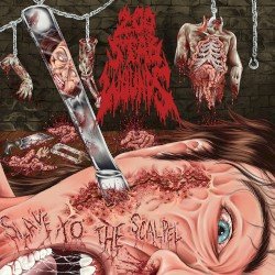 Slave to the Scalpel Cover