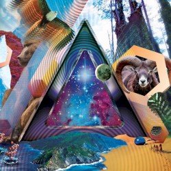 Universal Pulse Cover