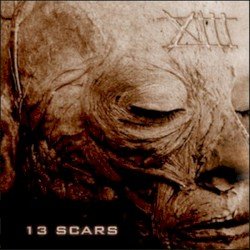 13 Scars Cover