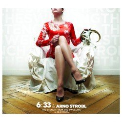 The Stench From the Swelling (A True Story) Cover