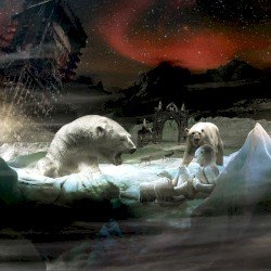 Primitive North Cover