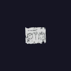 The Woods Cover