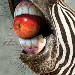 A-Z Cover
