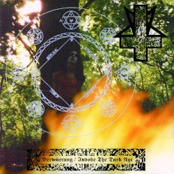 Verwüstung / Invoke the Dark Age Cover