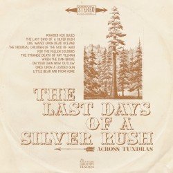 The Last Days of a Silver Rush Cover