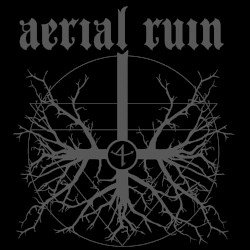 Aerial Ruin / Stevie Floyd Cover
