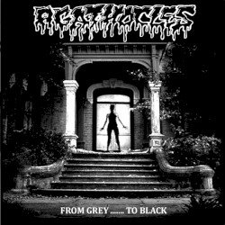 From Grey… to Black Cover