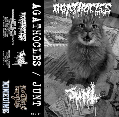 Split Cover