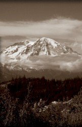 Tahoma Cover