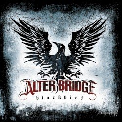 Blackbird Cover