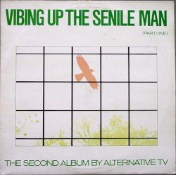 Vibing Up the Senile Man Cover