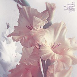Try Not to Destroy Everything You Love Cover
