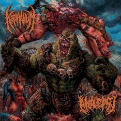 The Kraanialepsy Split Cover