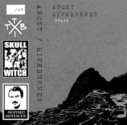 Ancst / Hiveburner Cover