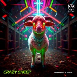 Crazy Sheep Cover