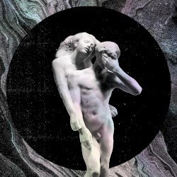 Reflektor Cover