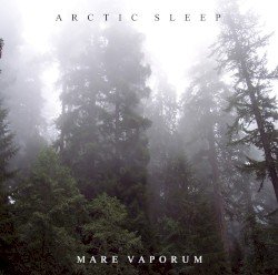 Mare Vaporum Cover