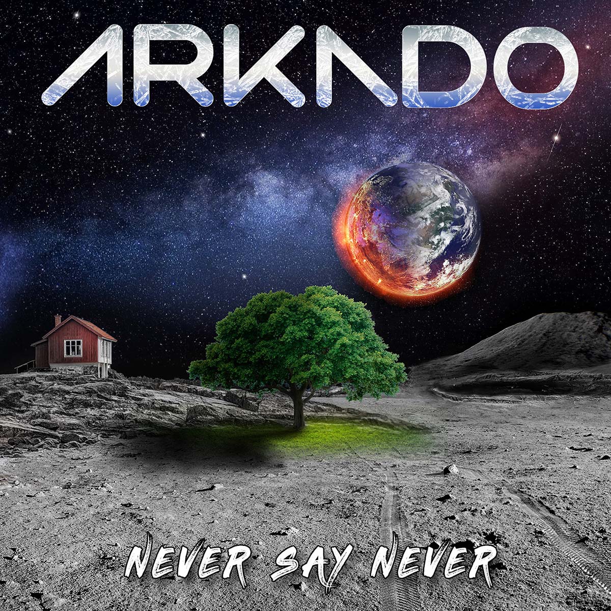 Never Say Never Cover