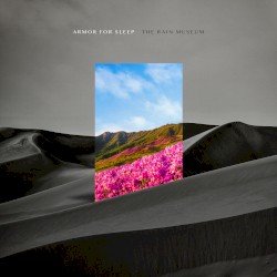The Rain Museum Cover