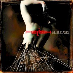 Fetish Cover