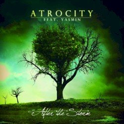 After the Storm Cover