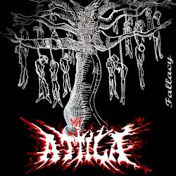 Fallacy Cover