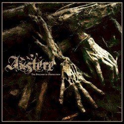 The Stillness of Dissolution Cover