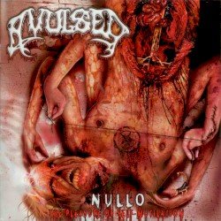 Nullo (The Pleasure of Self-Mutilation) Cover