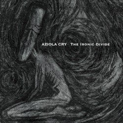 The Ironic Divide Cover