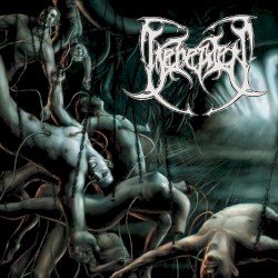 Recounts of Disembodiment Cover