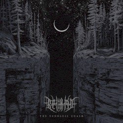 The Echoless Chasm Cover
