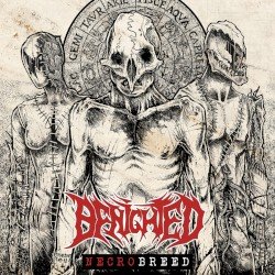 Necrobreed Cover