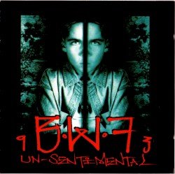 Un-Sentimental Cover