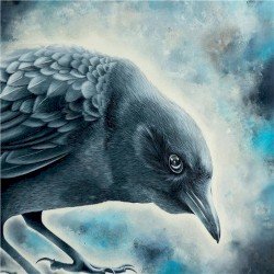 Folklore Cover