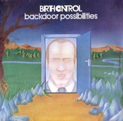 Backdoor Possibilities Cover