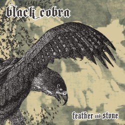 Feather and Stone Cover