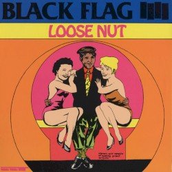 Loose Nut Cover