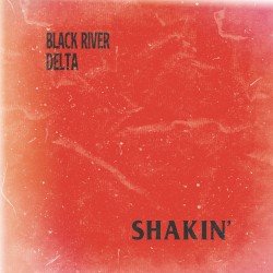 Shakin' Cover