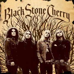 Black Stone Cherry Cover