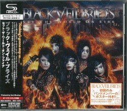 Set the World on Fire Cover