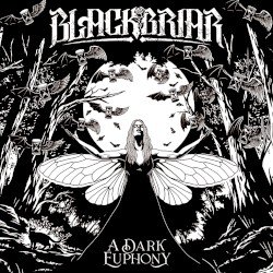 A Dark Euphony Cover