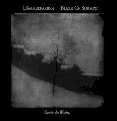 Geister des Winters Cover