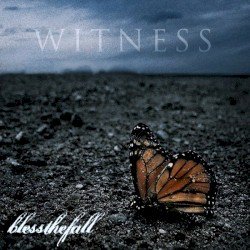 Witness Cover