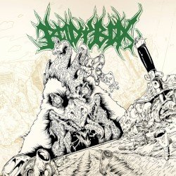 3 Cover