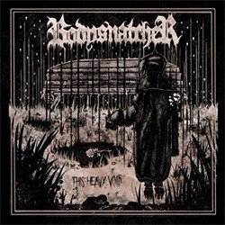 This Heavy Void Cover