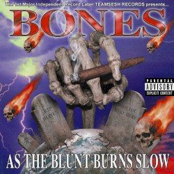 AsTheBluntBurnsSlow Cover