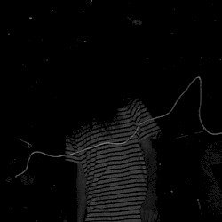 Banshee Cover