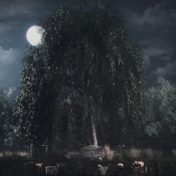 UnderTheWillowTree Cover