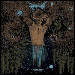 Panta Rhei Cover